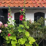 Style Near Balka With Tennis Court *